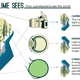 Illustration for article titled These Bacteria Are Essentially Tentacle-Covered Eyeballs